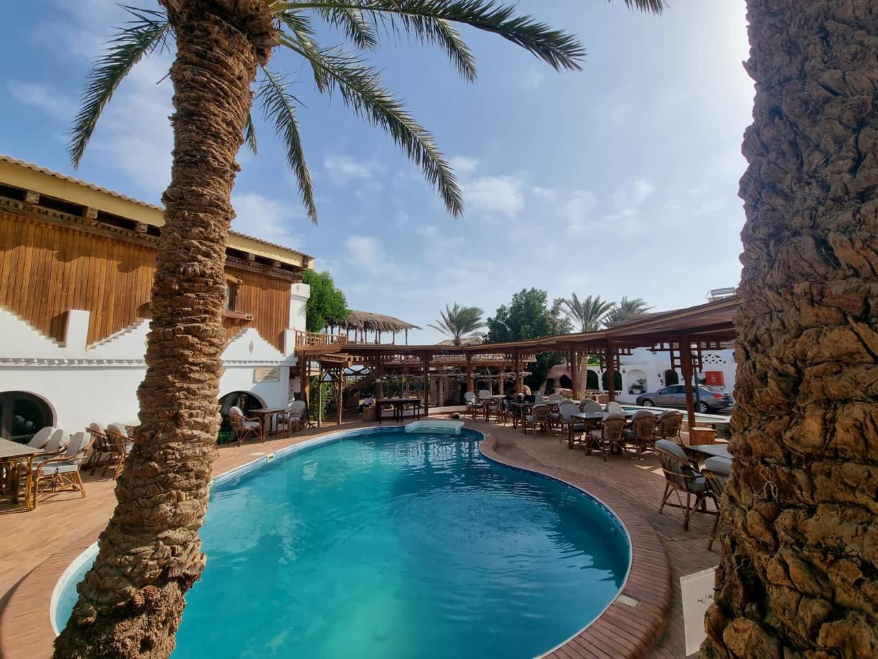 Anmo Divers Hotel Dahab. Double Room. 07 — Pool in Anmo Divers Hotel, Dahab, South Sinai, Egypt — photo 3