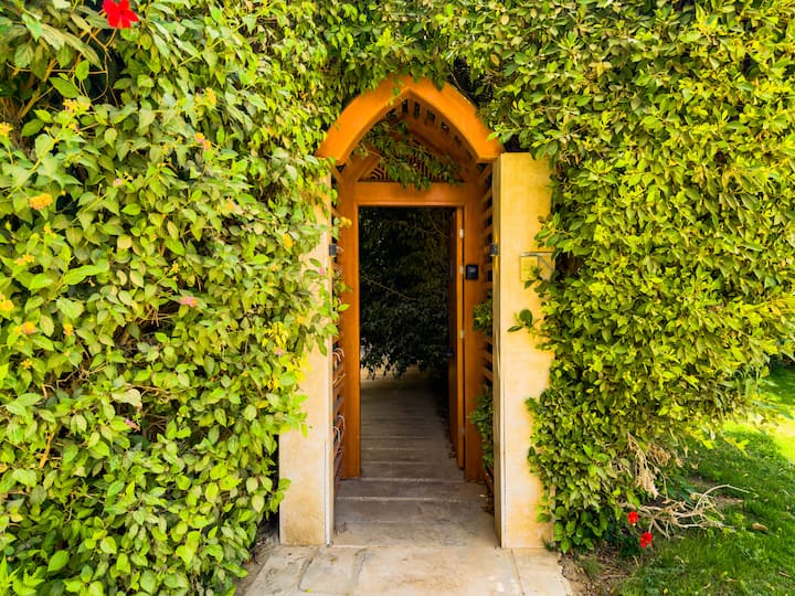 Cozy& peaceful hideout Saray with garden oasis — Backyard in Cairo, Egypt, Egypt — photo 2