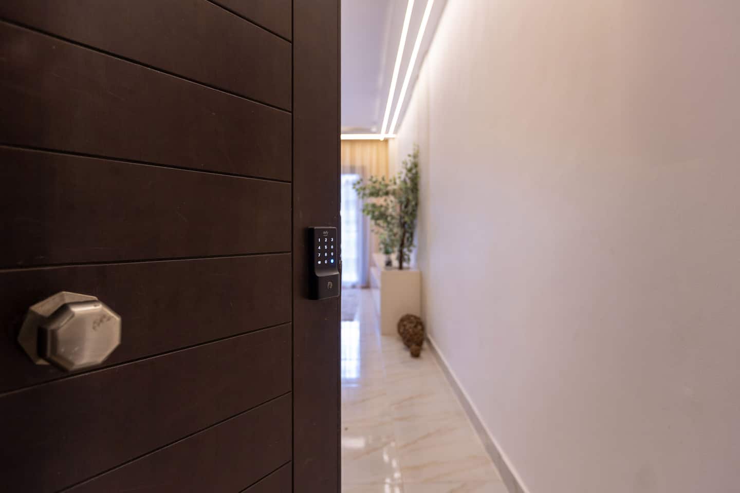 Brand New 3BR Apt@Madinaty — Additional Photos in Madinaty, New Cairo, Egypt — photo 3
