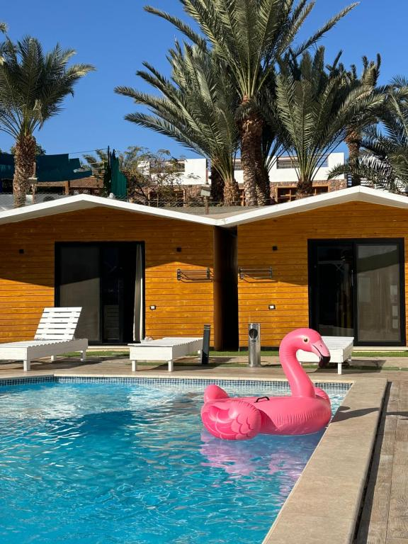 Downtown Village Dahab. Family Room. 210 1