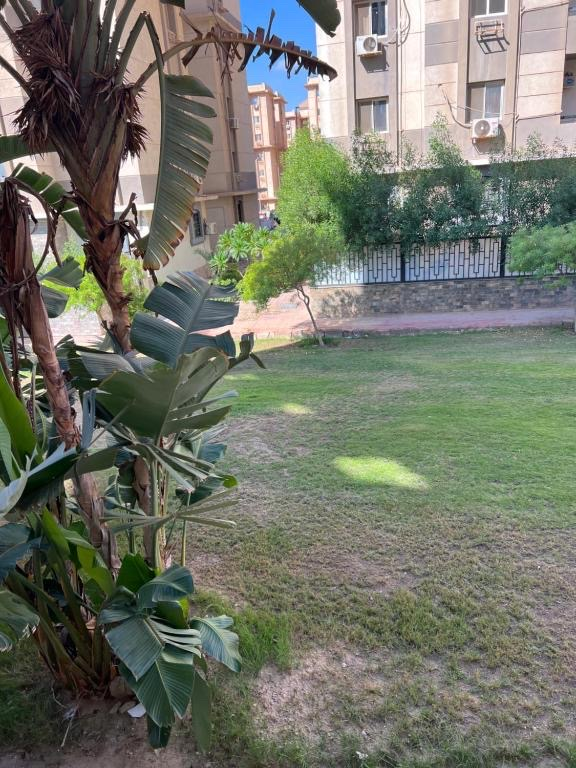 Near to The Airport - Apartment in Gardenia 35342 — Apartment in Gardenia City, Near Airport, Cairo, Egypt, Egypt — photo 8