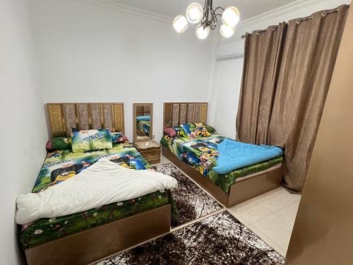 Near to Airport Apartment in Gardenia City 57051 — Apartment in Gardenia City, Near Airport, Cairo, Egypt, Egypt — photo 22