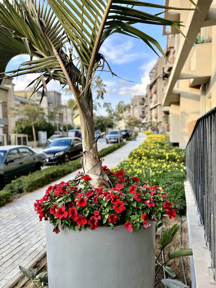 SODIC Villette Pool side 2-bed W/ Garden — Apartment in SODIC Villette, New Cairo, Egypt, Egypt — photo 46