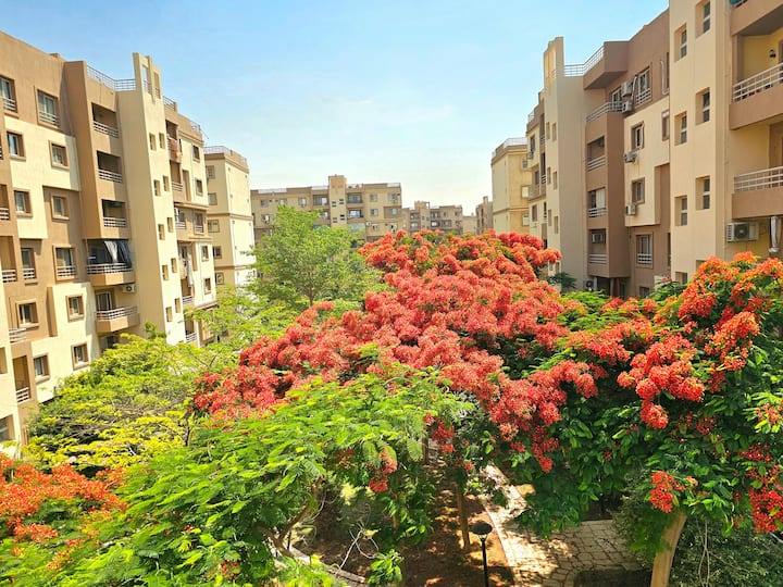 Huge Home for Big Family — Apartment in Madinaty, New Cairo, Egypt, Egypt — photo 5