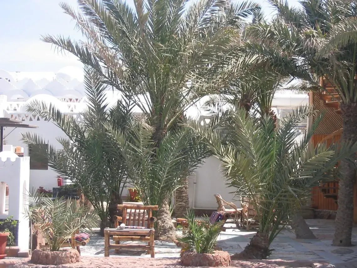 Anmo Divers Hotel Dahab. Double Room. 07 — Hotel serviced apartment in Anmo Divers Hotel, Dahab, South Sinai, Egypt — photo 11