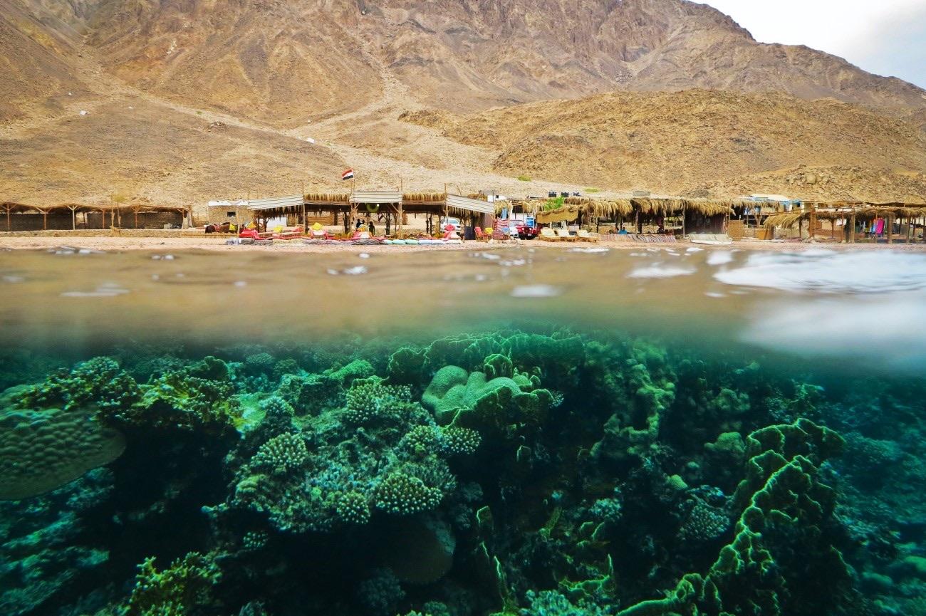 New Life Camp & Hotel. Dahab. Double Room. 09 — Hotel serviced apartment in New Life Camp, Dahab, South Sinai, Egypt — photo 56