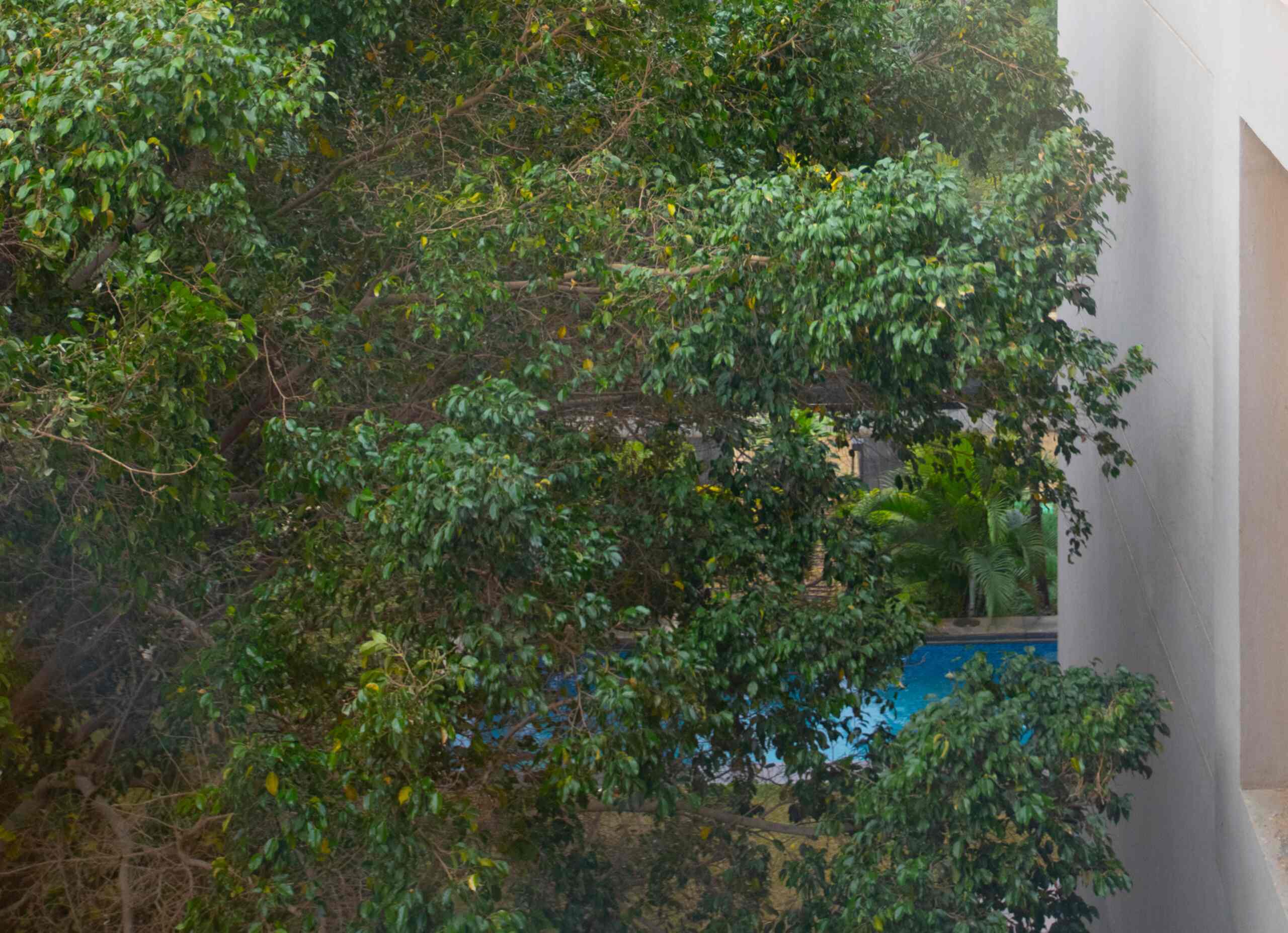 Stunning 3-Bdr Apt With Side Pool View|Silver Palm — Apartment in New Cairo , Cairo, Egypt — photo 28