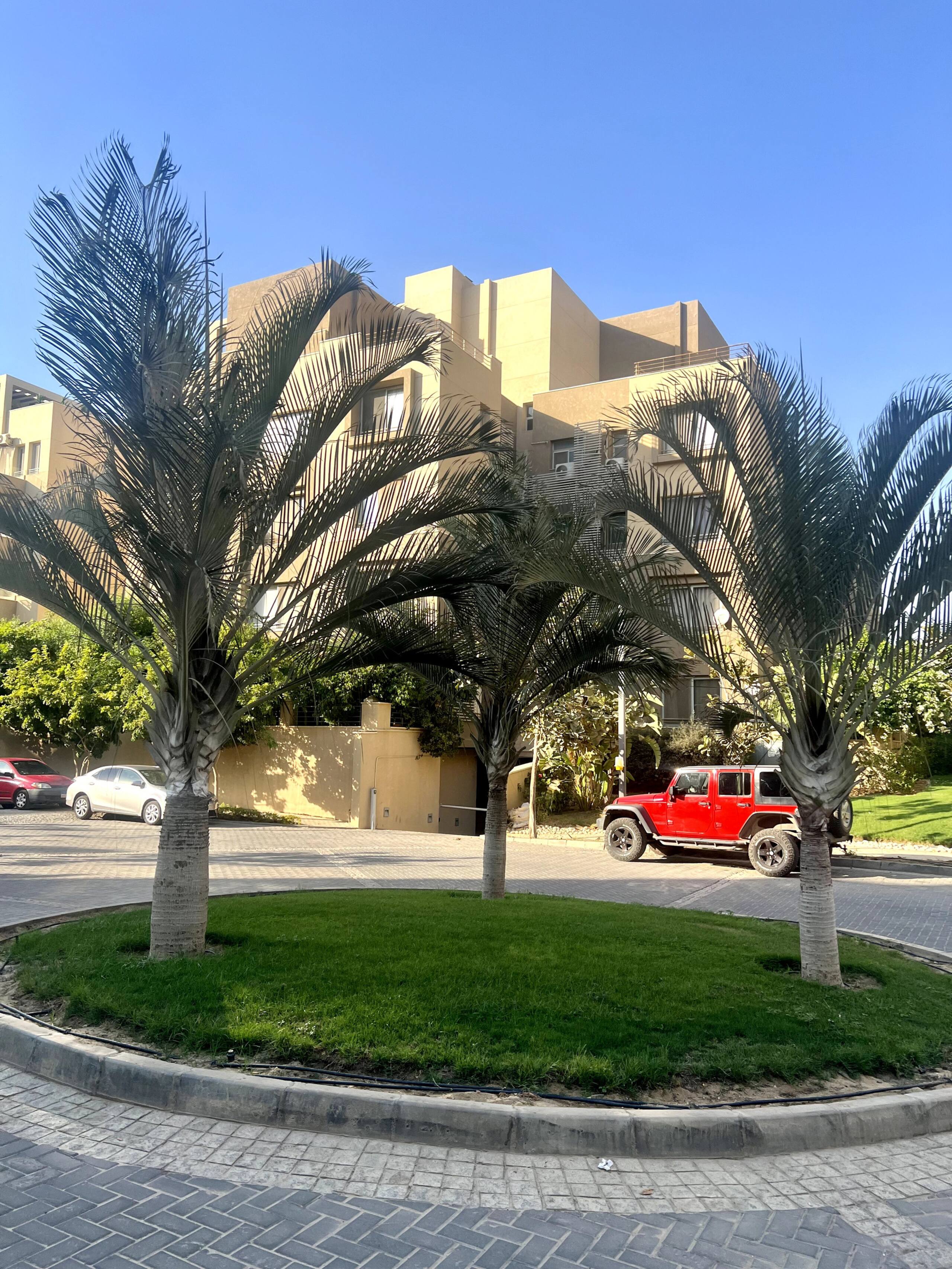Newly Furnished 1-Bed next to AUC Palm Hills VG — Apartment in First New Cairo, Egypt — photo 35